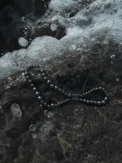 IMG_5633.jpg